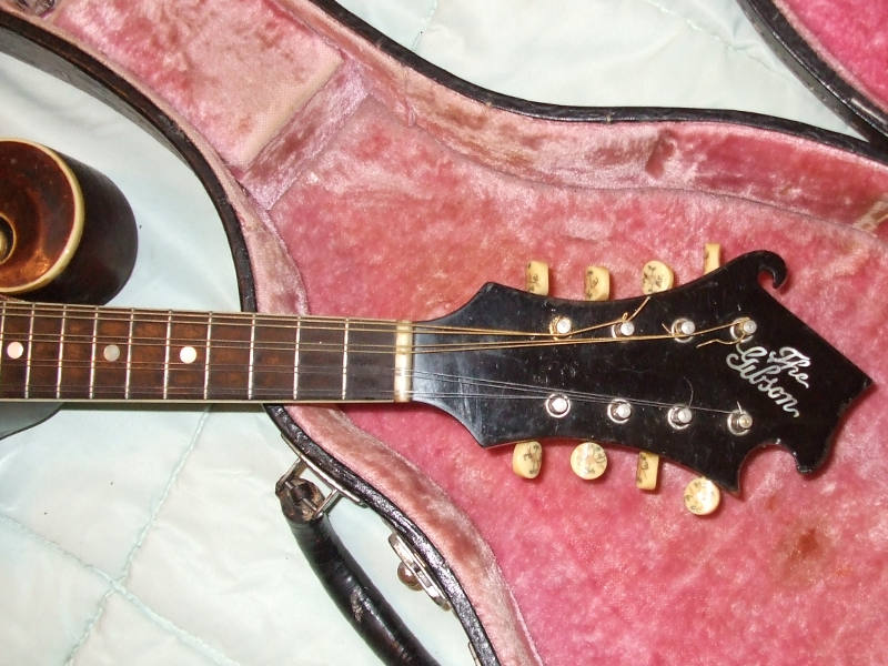 Gibson Mandolin.