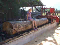 Kaytlin sitting on the saw log
