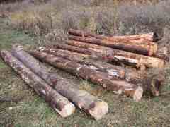 Our logs