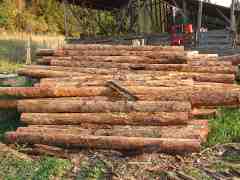 Our logs