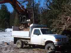 Firewood logging scrap