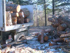 Firewood logging scrap