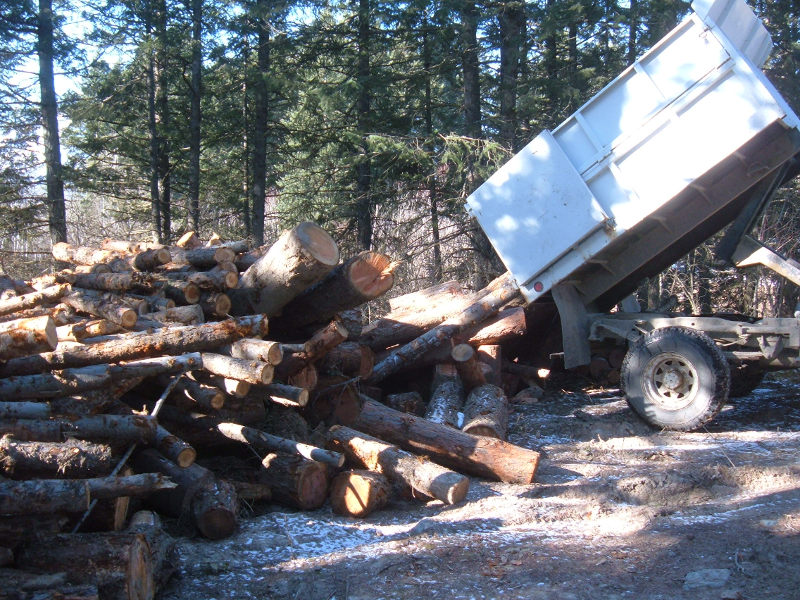 Loggers Hidey Hole Firewood Stash.