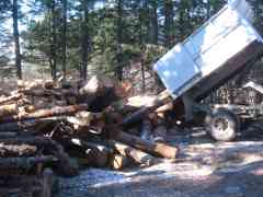 Hidey hole firewood stash