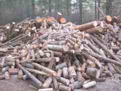 Hidey hole firewood stash
