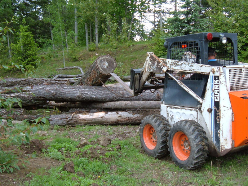 Lots Of Logs Here.