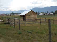 Second loafing shed