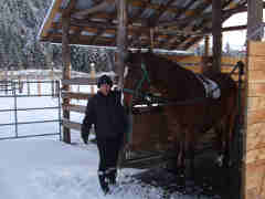 Sheds in winter