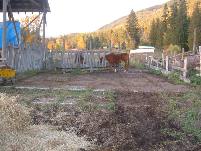 Dry Storage Shed Before.