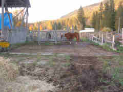 Dry storage shed before