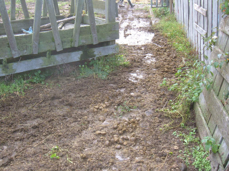 Wasteland Before Tri-Sheds.