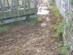Wasteland before the tri-sheds