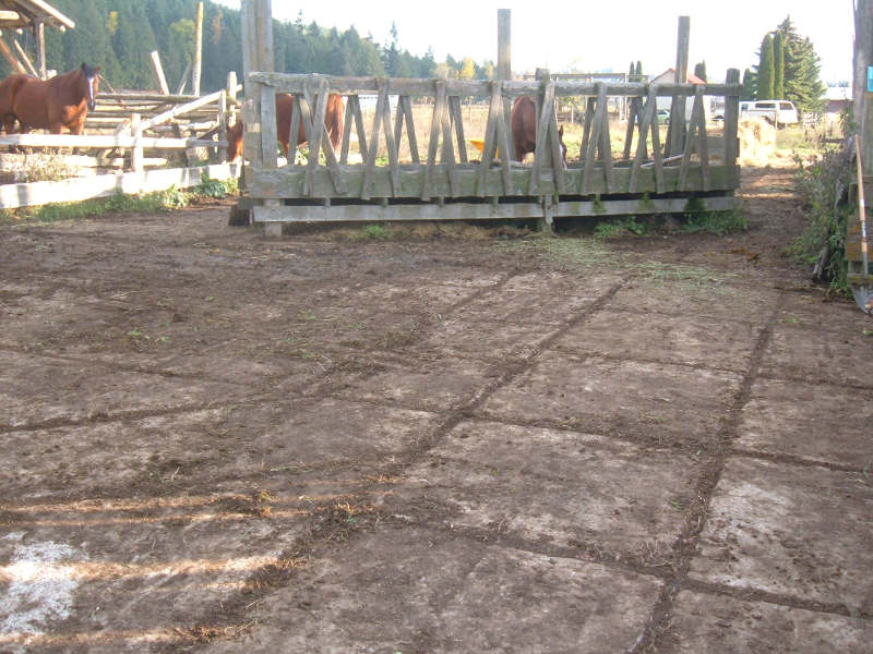 Before the Tri-Shed Complex.