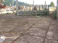Before the tri-sheds
