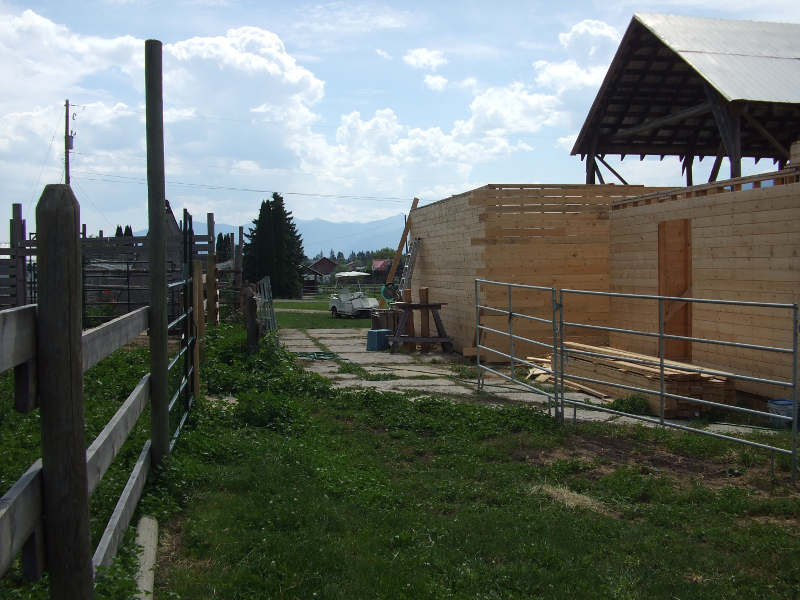 Barn And Tack Shed.