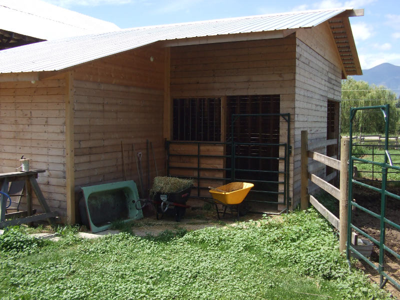 Tack Shed Door.