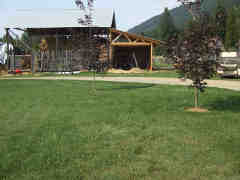 Shed and Barn view